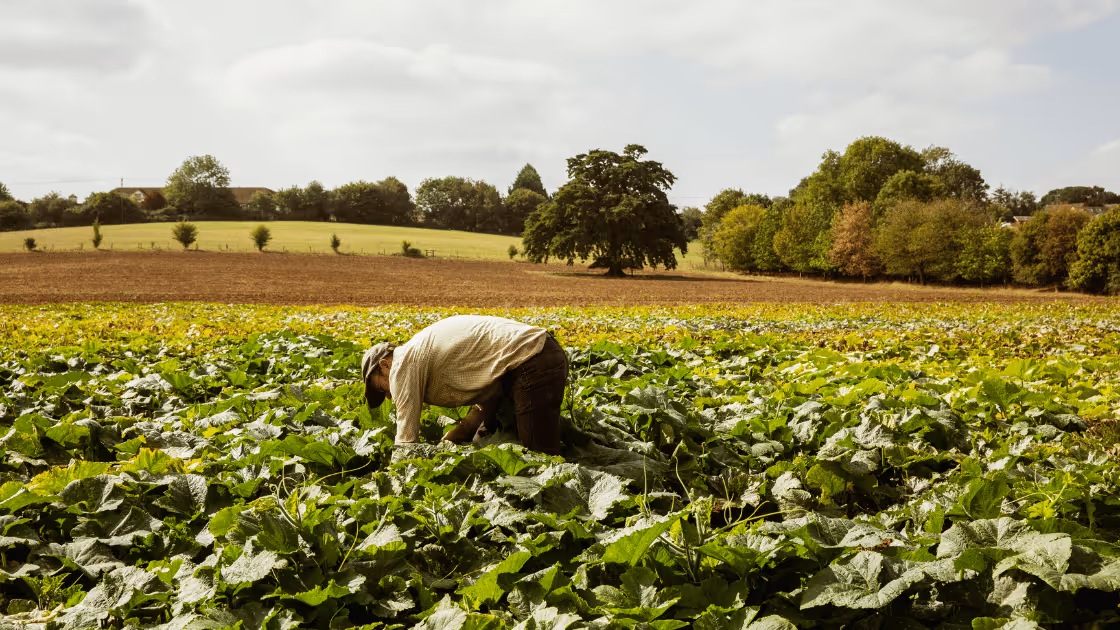6 Farm Recordkeeping Strategies to Make Tax Season Stress-Free