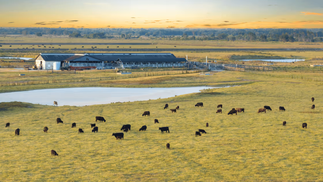 Catch Weight vs Fixed Weight: What's the Difference?