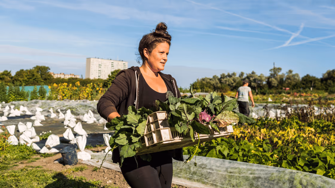 How to Sell Produce Online: Fruits, Vegetables & More