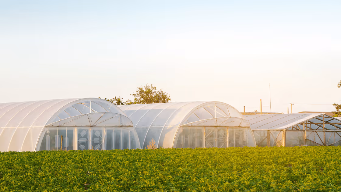 Farm Marketing: How to Create a Farm Marketing Plan (Examples + Ideas)