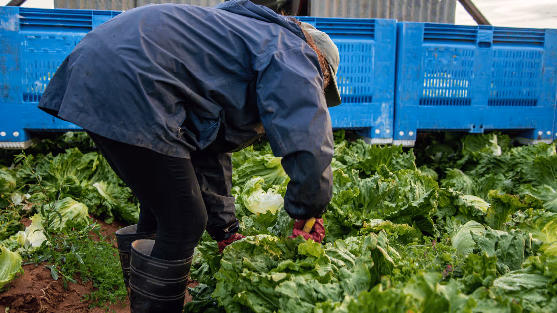 Pickup & Delivery in 2025: The Numbers Every Farm Should Know