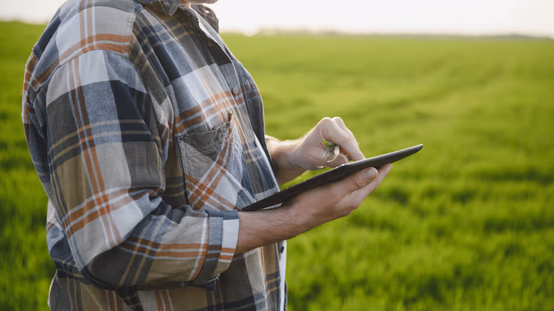 Farmer in the field assessing data on tablet.