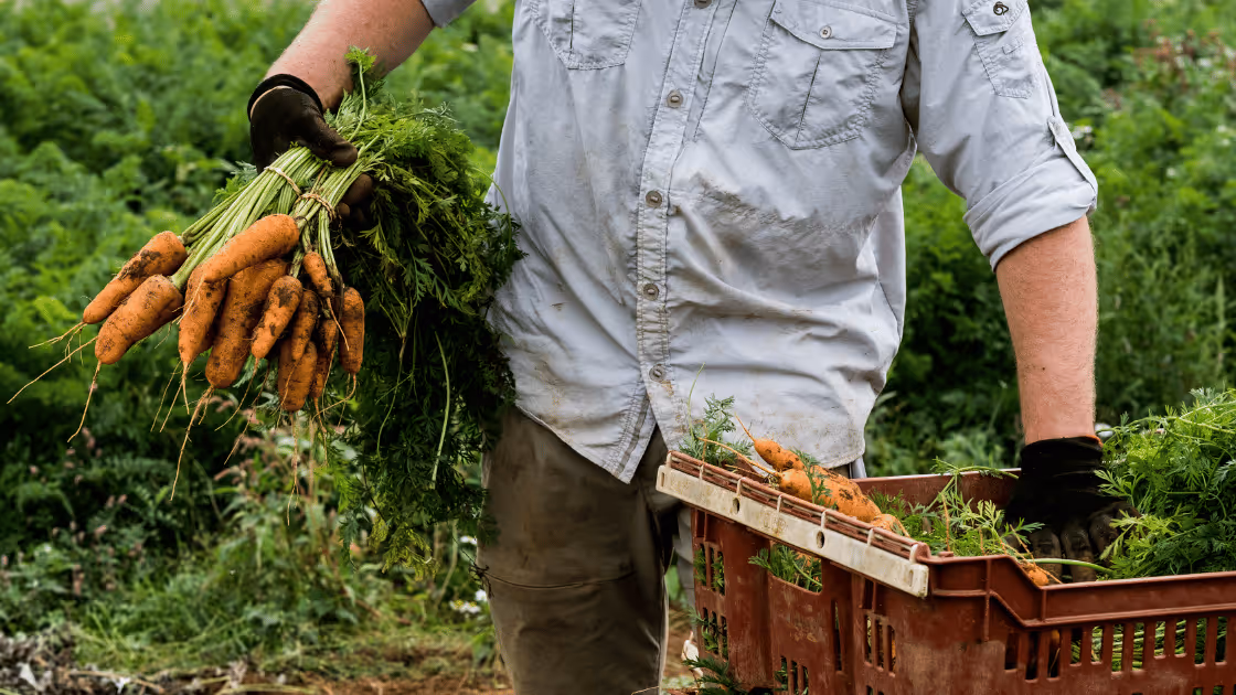 How to Sell Food Products: 12 Steps to Launch Your Food Business