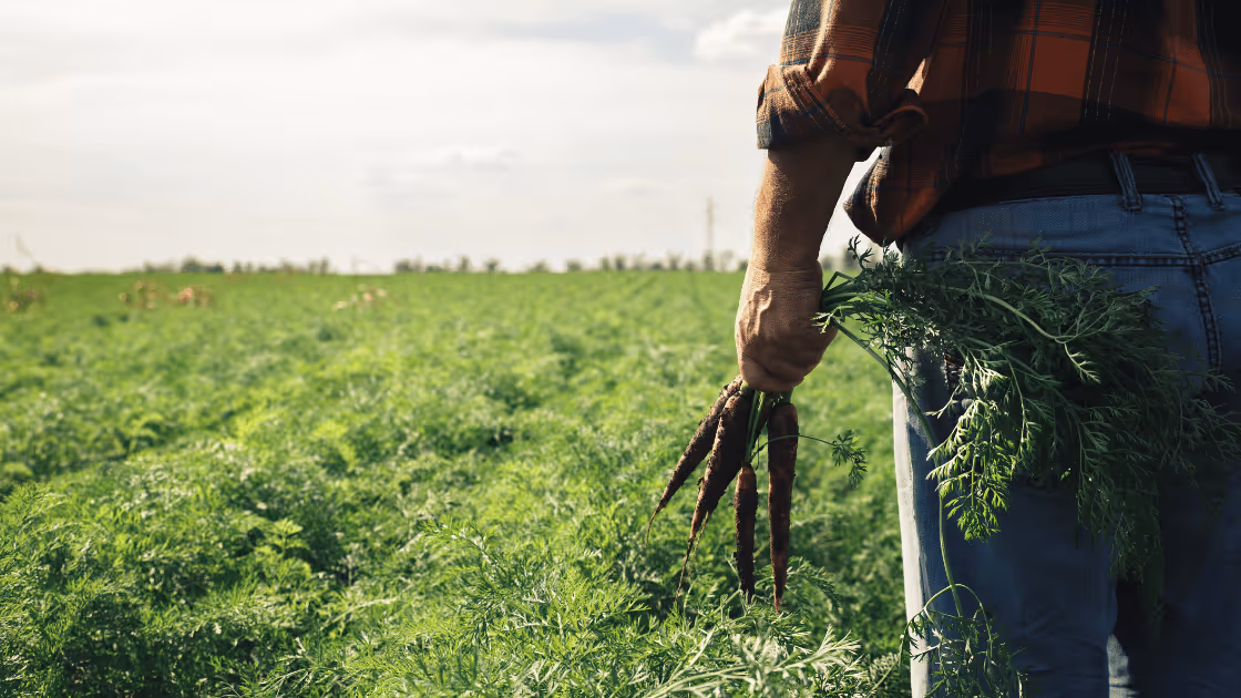 4 Time-Saving Features to Cut Your Admin in Half