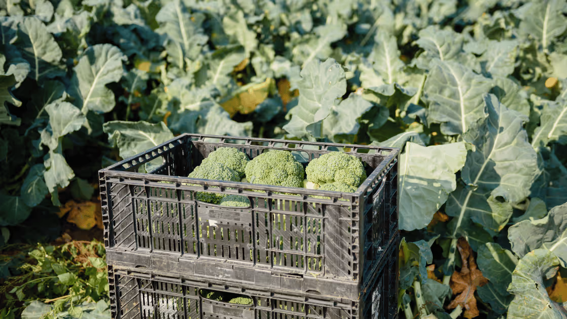 What is a Farm Hub and Why Are Farmers Embracing This Model?