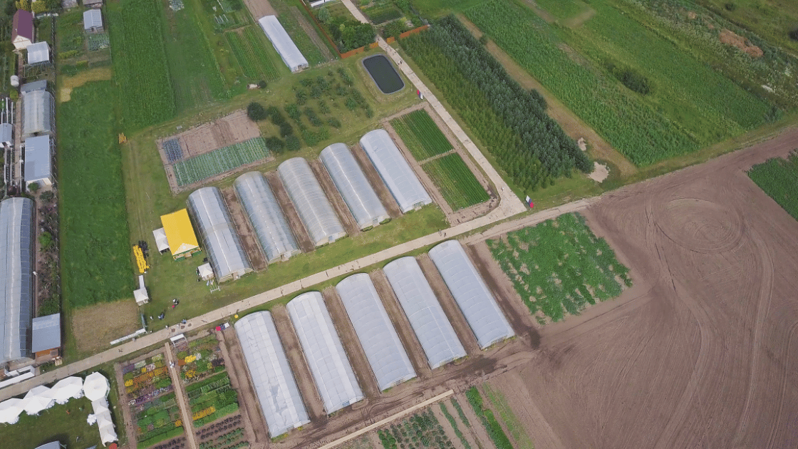 How to Sell Organic Food: 8 Steps for Farms & Producers