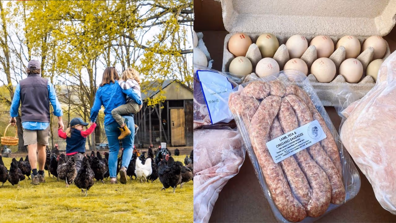 How This Australian Farm Doubled Meat Subscriptions in Half the Time with Local Line