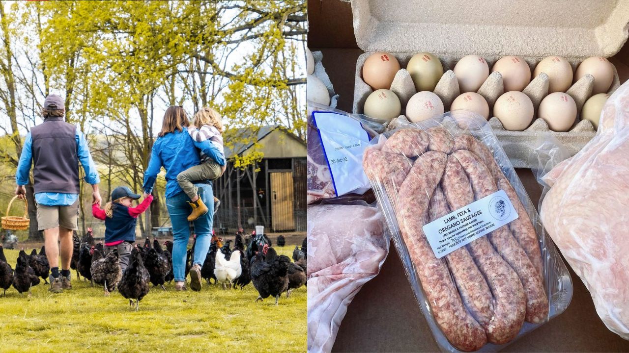 Branch & Burrow Farm in Southern Tablelands, New South Wales