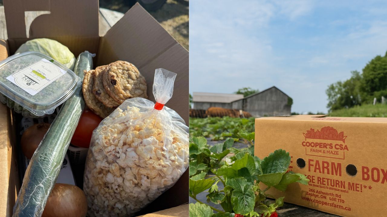 Coopers CSA Farm CSA boxes.