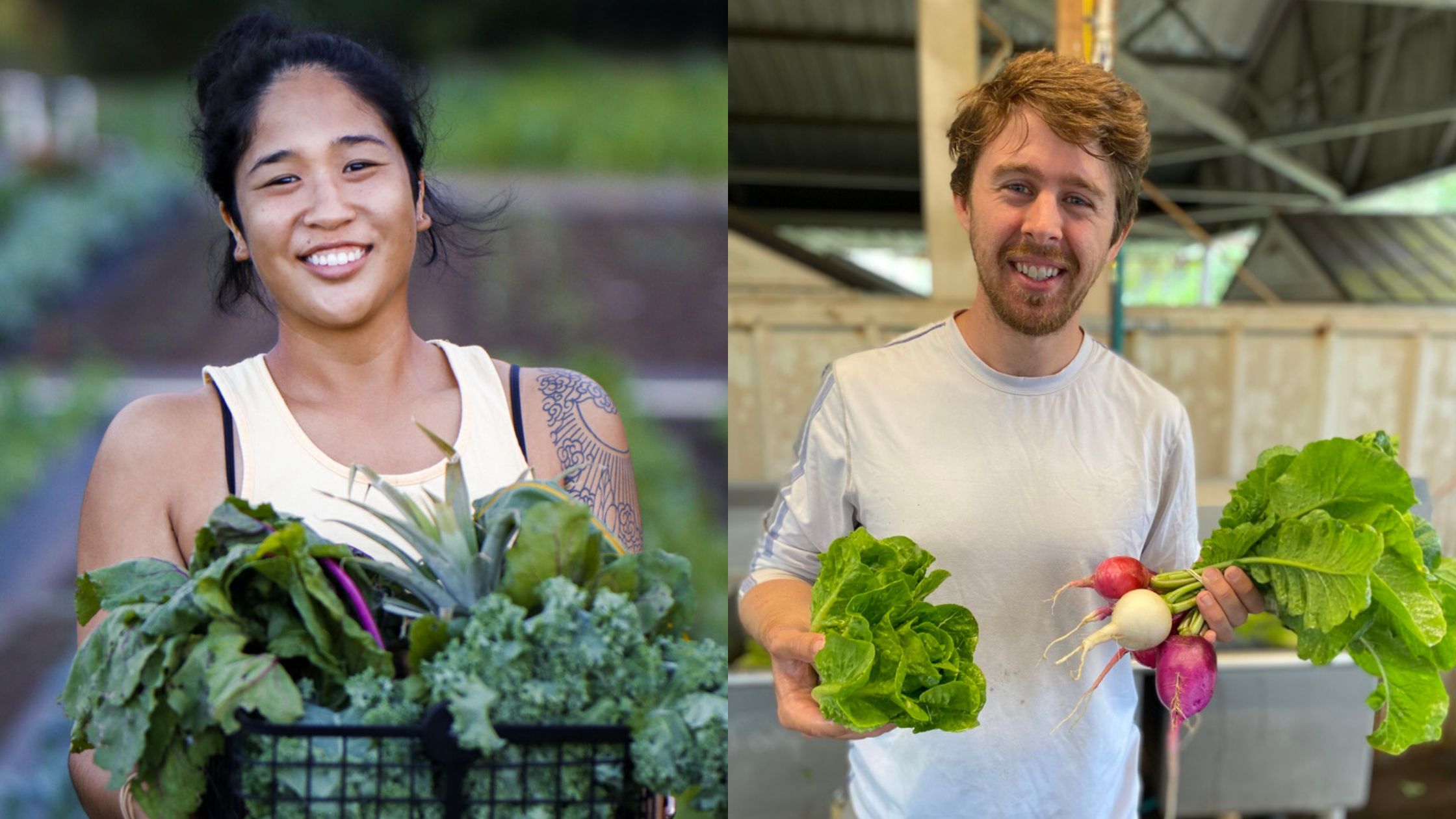 How Ahiki Acres Uses Local Line to Power Pre-Orders and Grow Community
