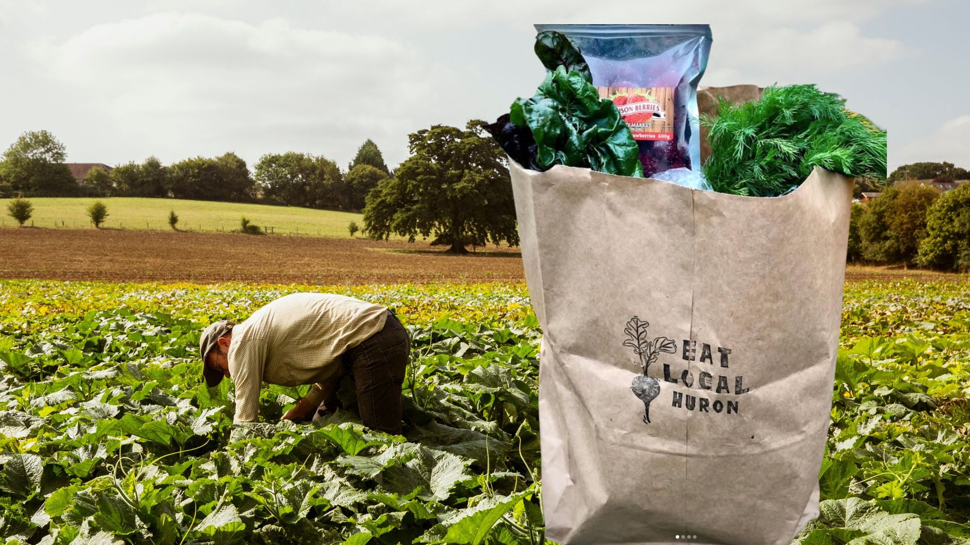 How Eat Local Huron Built a Thriving Local Food Network with Local Line