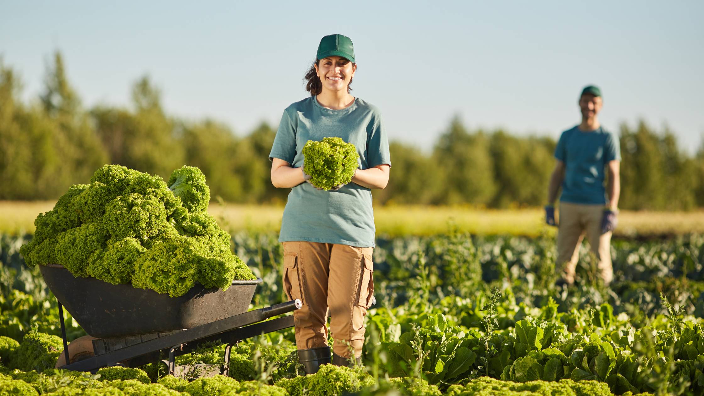 Farm Tax Tips for Canadian Farmers