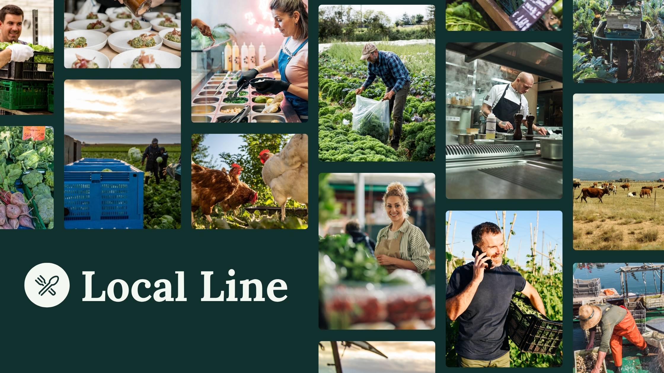 Local Line highlights