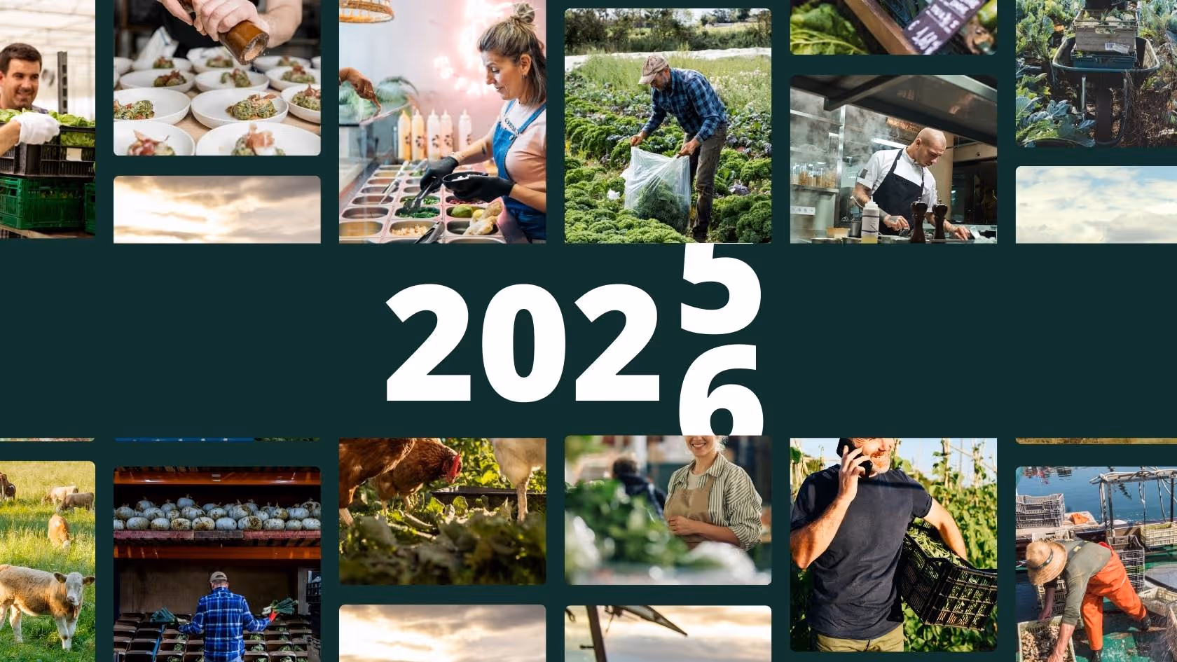 Local Line for Buyers: 2025 Year in Review