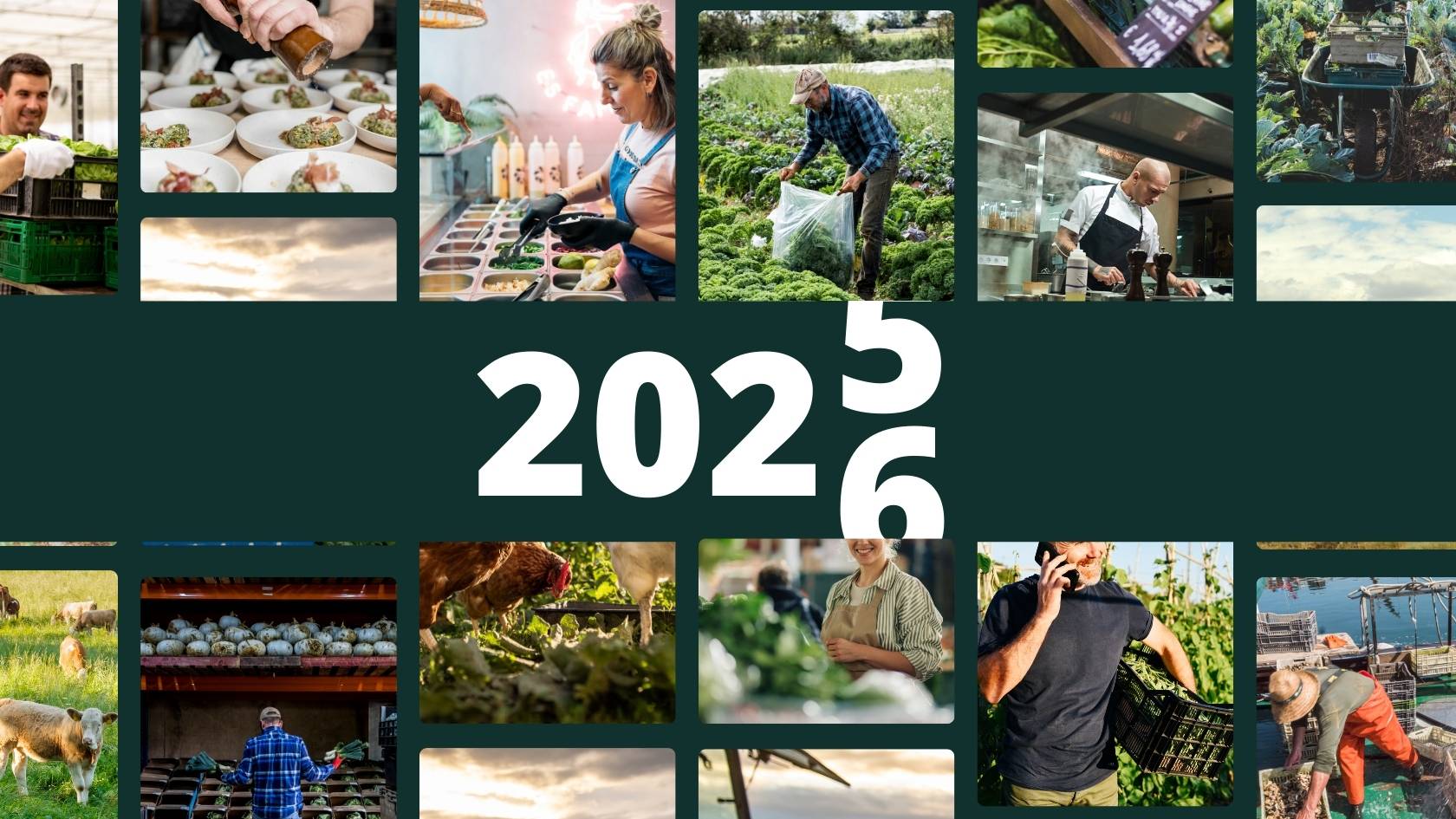 Local Line for Buyers: 2025 Year in Review