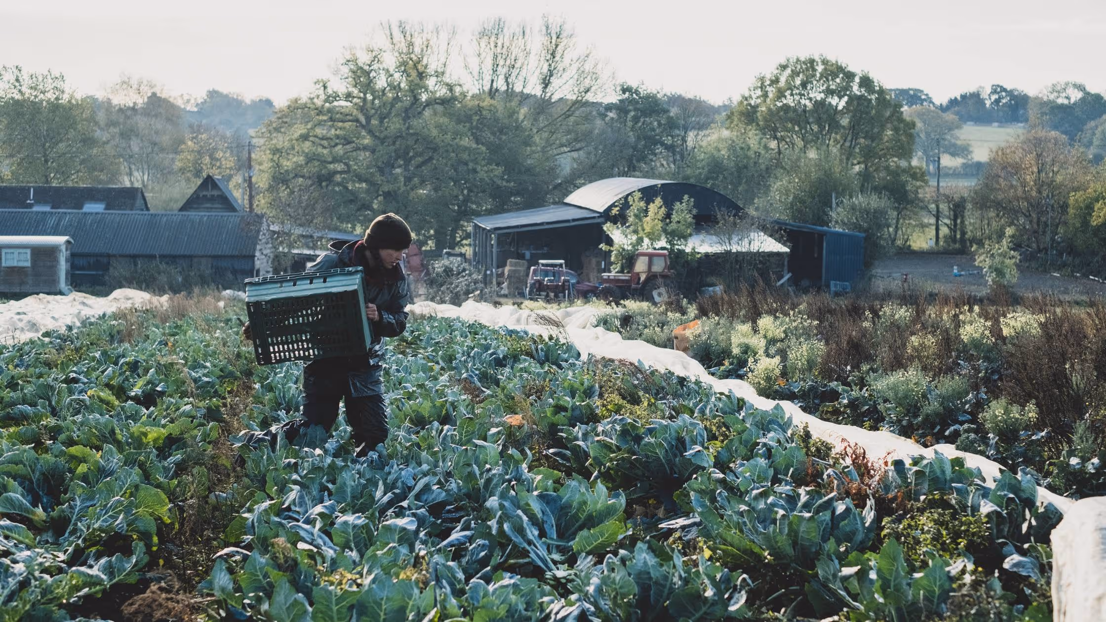 How Farmers Can Manage Farmers’ Market Sales and Wholesale Orders in One System