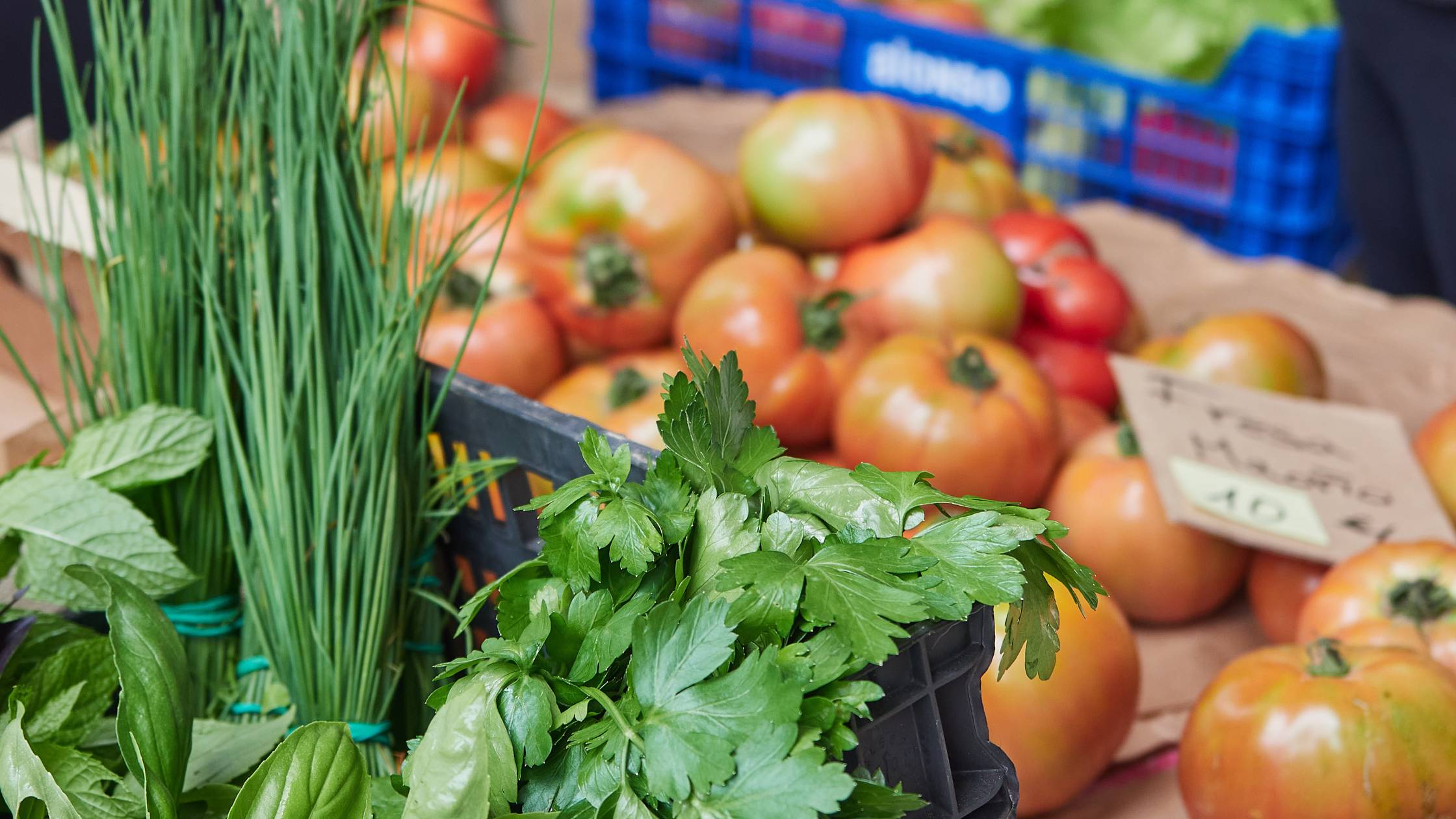Man on cellphone working on a farm