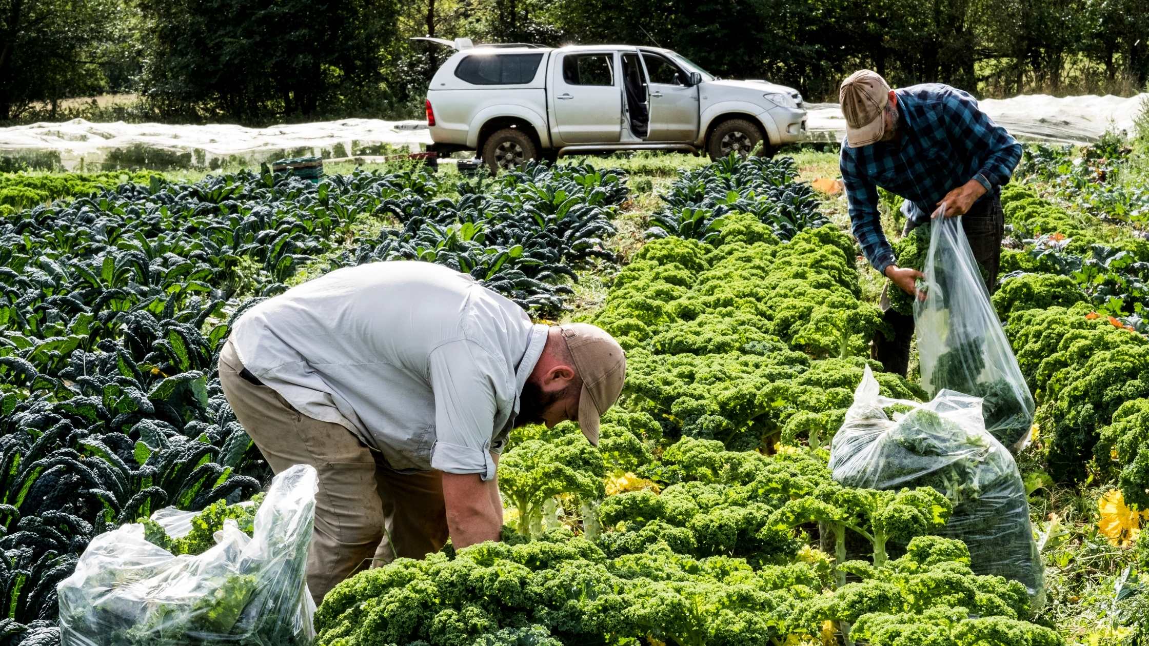 How Nova Scotia is Expanding Access to Local Food
