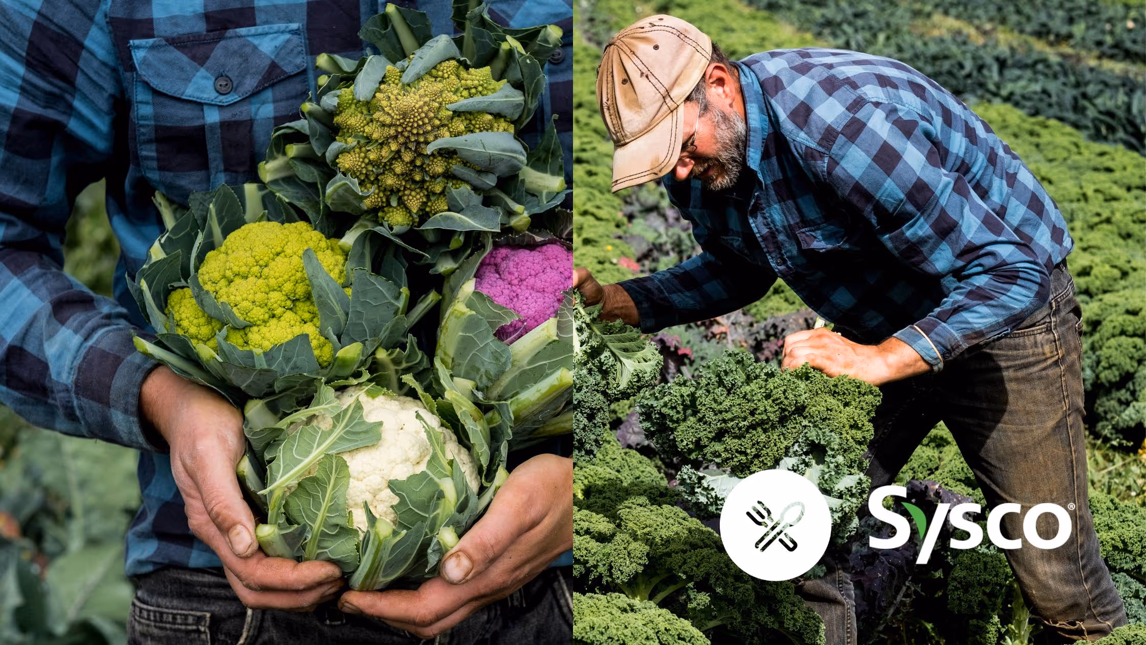 Local Line Joins Sysco Marketplace, Establishing a New Pathway for Chefs to Source Unique Farm-Direct Products