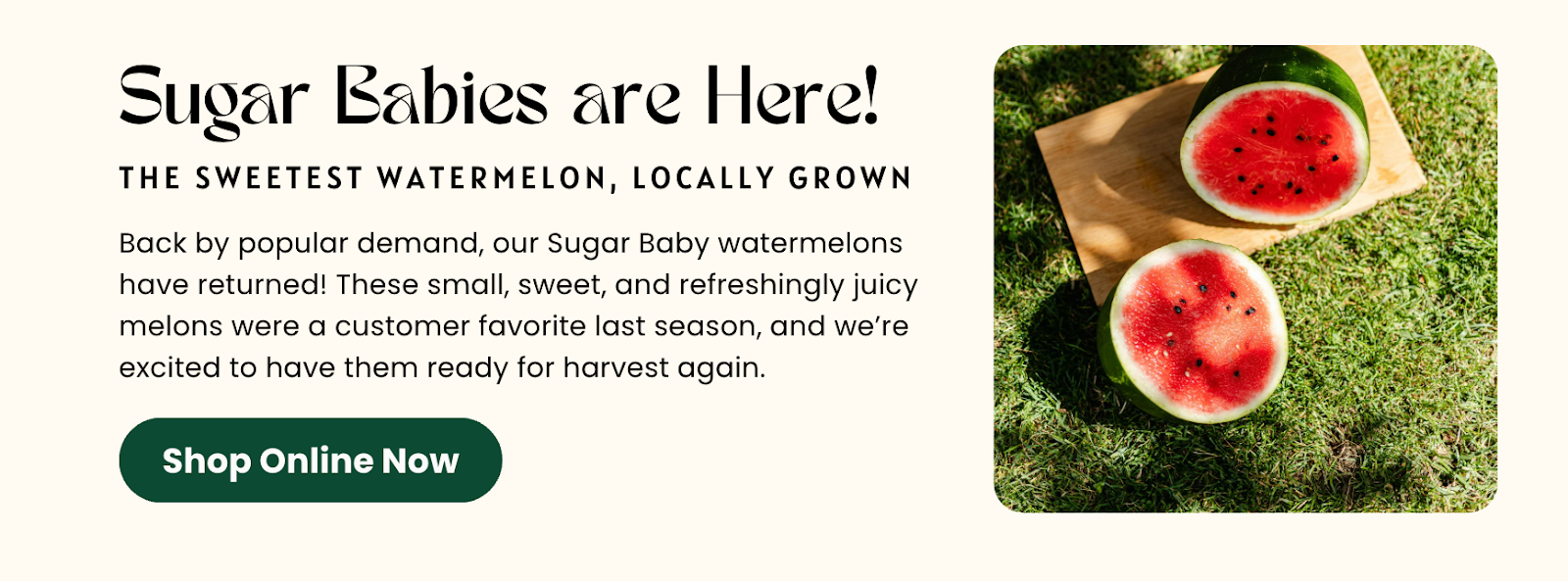 Farm email CTA example