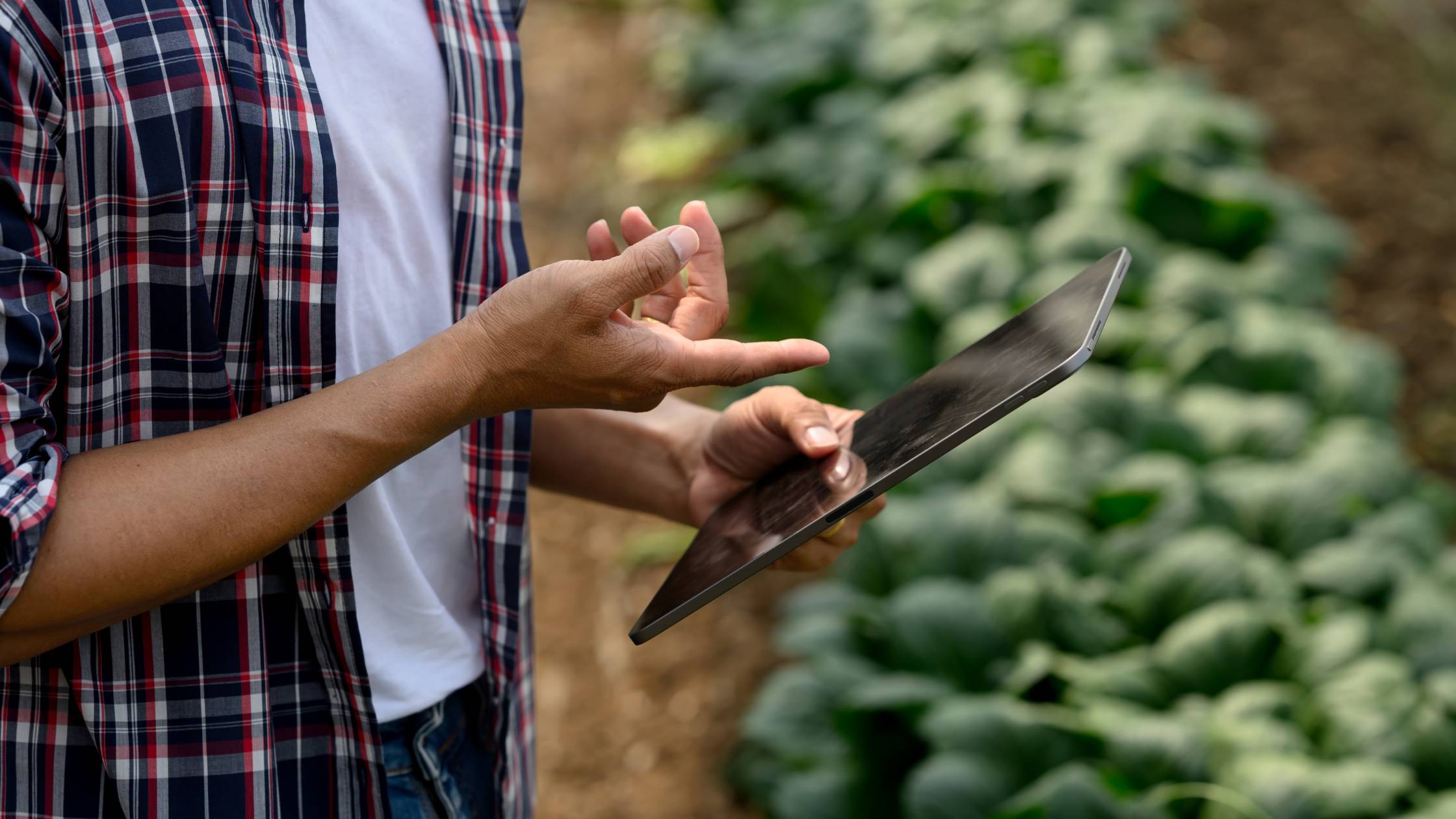 Man on cellphone working on a farm