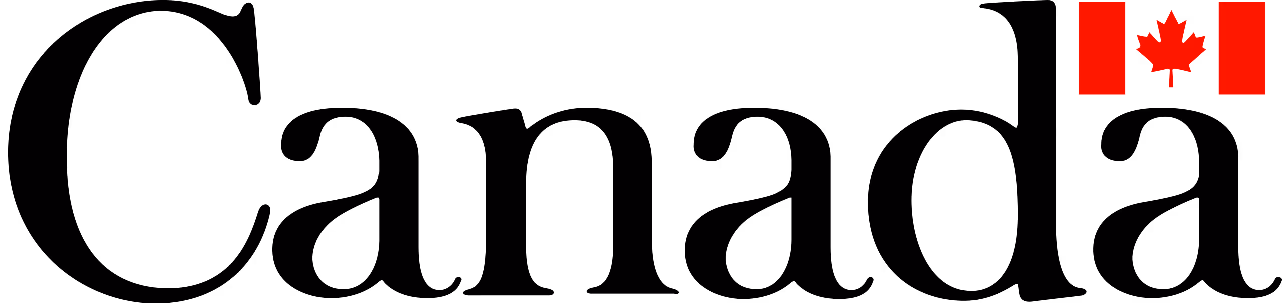 2020INC logo