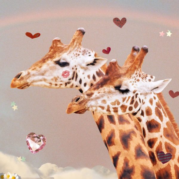 Image of two giraffes - art for how to love Libra