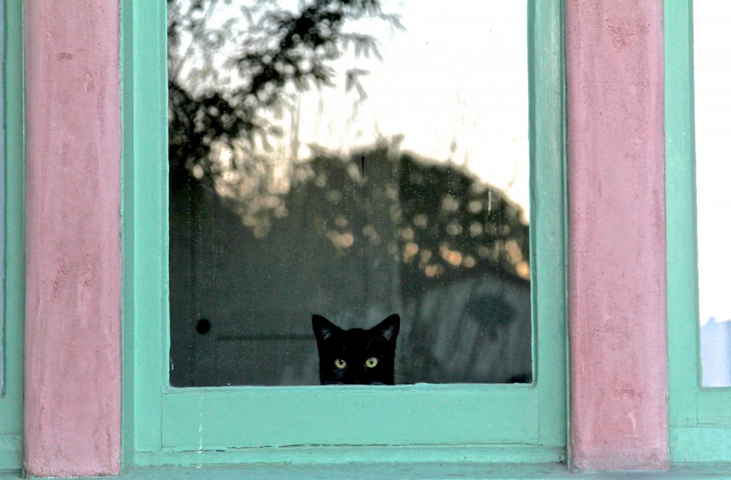 image by www.holadaymason.com