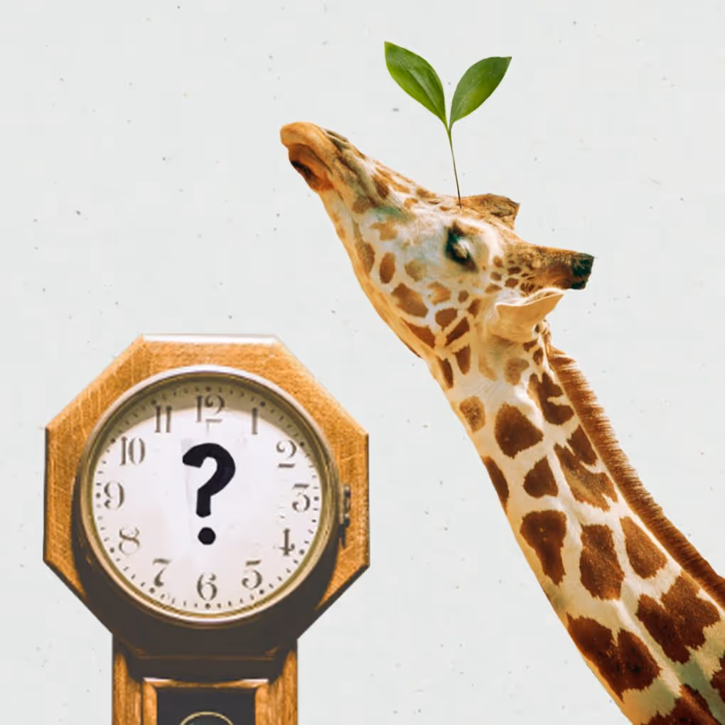 Collage of a giraffe and grandfather clock for the "What if I don't know my birth time? blog.