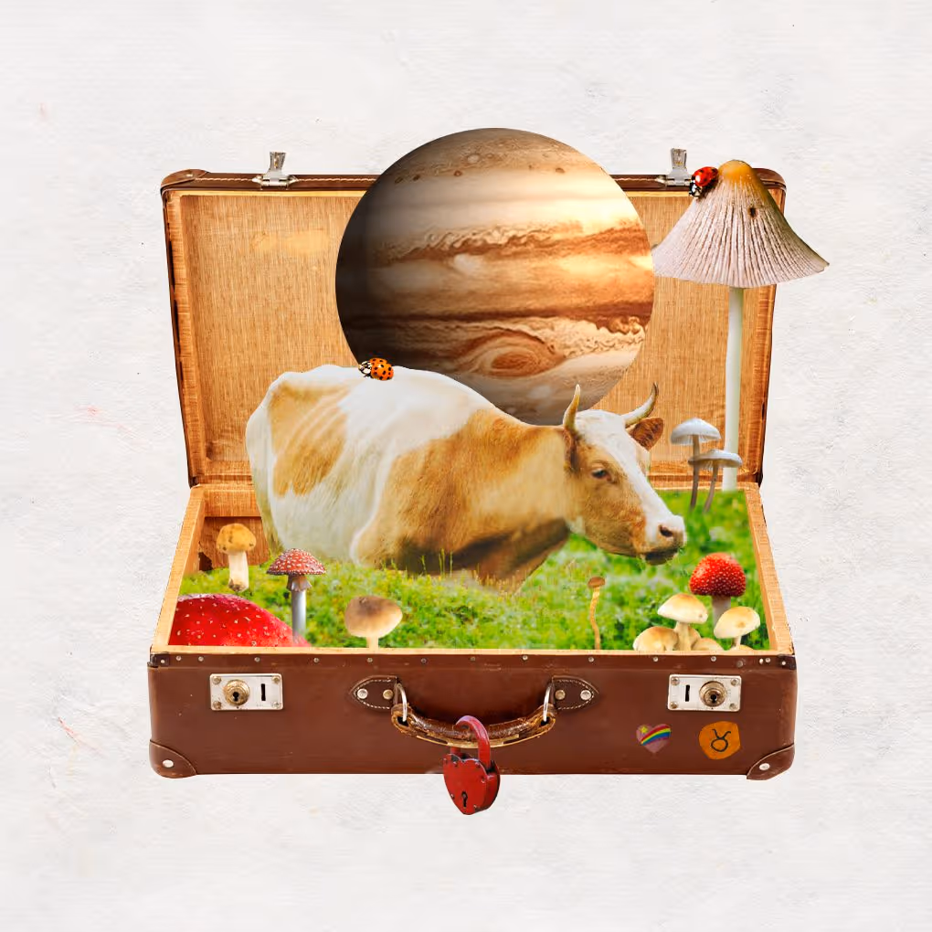 Collage of Jupiter in Taurus with a cow, mushrooms, and lady bugs