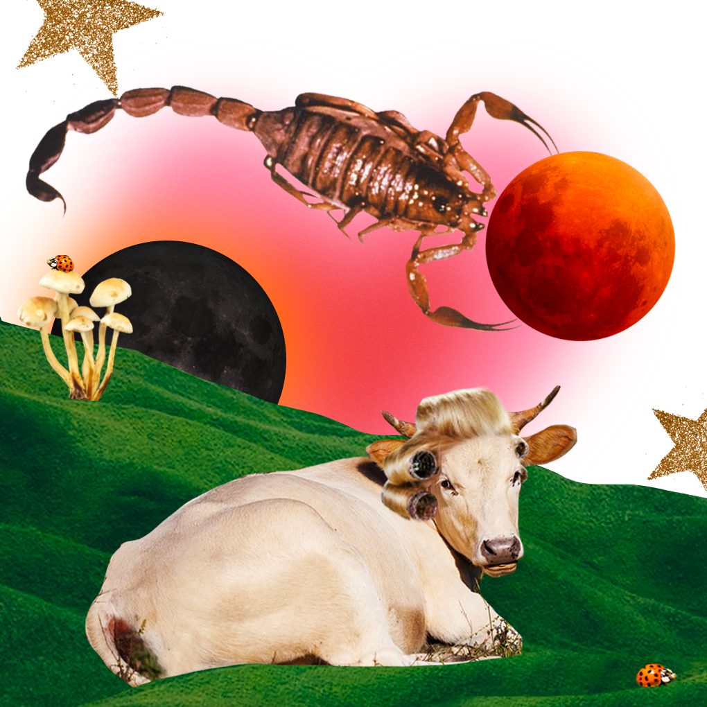 What is an eclipse? Eclipses occur when three objects move into alignment. For lunar eclipses, the Earth is between the Moon and the Sun, resulting in the Moon being shadowed. For solar eclipses, it’s Luna that finds itself between the Earth and the Sun, while the Sun performs its vanishing act. Eclipses occur when a ...