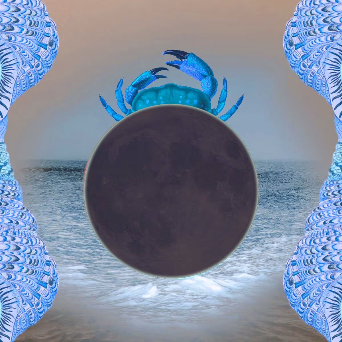 &nbsp; Your solar eclipse horoscopes are written affirmation style. They are meant to be read as inspiration. If you know both your rising sign and sun sign, please read both horoscopes. You’ll know which resonates more for you from week to week. Take what works for you, leave the rest. If you want to share ...