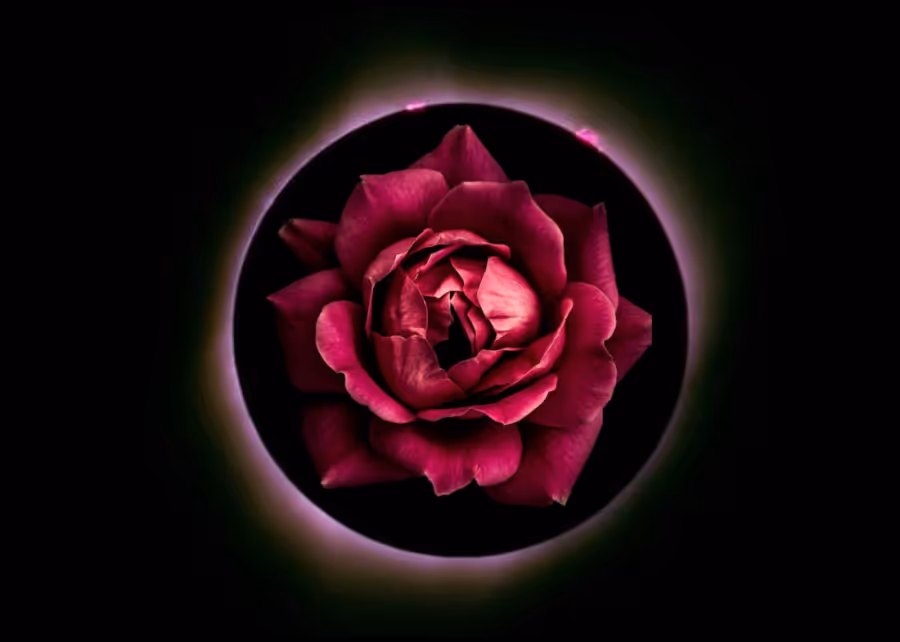 Love is a risk. Love is a loss. Love is a revolution. Love makes clear every fear we must work through. Love brings with it every reason to make such effort. Love initiates us, leaving us forever changed, forever marked, forever awakened to what could be. The love we cultivate, the love we elevate, the ...