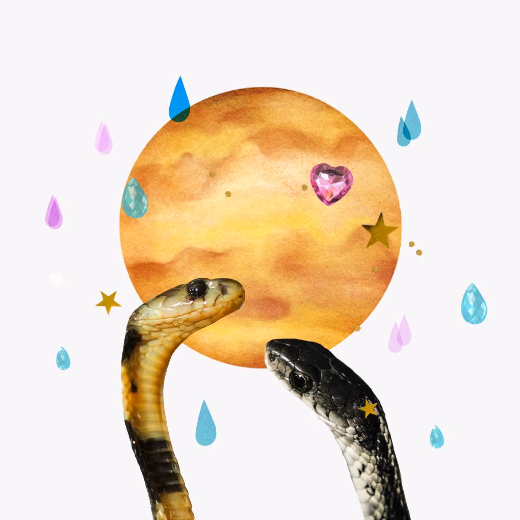 &nbsp; Read your horoscope for Venus in Scorpio Flirting with the dark side When Venus travels through Scorpio from September 22nd to October 17th, casual flings are out and twin flames are in. ’Tis the season for swapping ghost stories on a first date, creating art that’s more unsettling than aesthetically pleasing, and scraping away ...