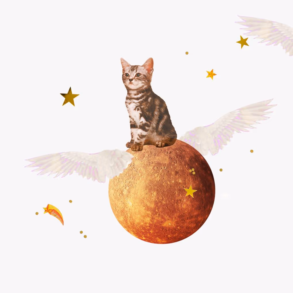 Read your horoscope for Mercury retrograde in Leo Retrograde reruns Thanks to its retrograde cycle, Mercury will once again travel through Leo from August 14th to September 8th, presenting another opportunity to give your heart the proverbial mic. Whether you decide to dust off a cherished talent or polish the trophies of your past successes, ...