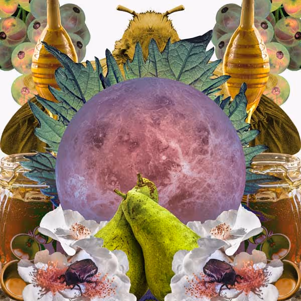 Venus will be in Virgo from September 4th to September 29th Yearn for the details Assess that last comment. Down to the punctuation. Why? Venus is entering Virgo. Your relationship talks just took a turn for the analytical. It’s time to pay attention to the details of how your loves operate. In this sign, Venus ...