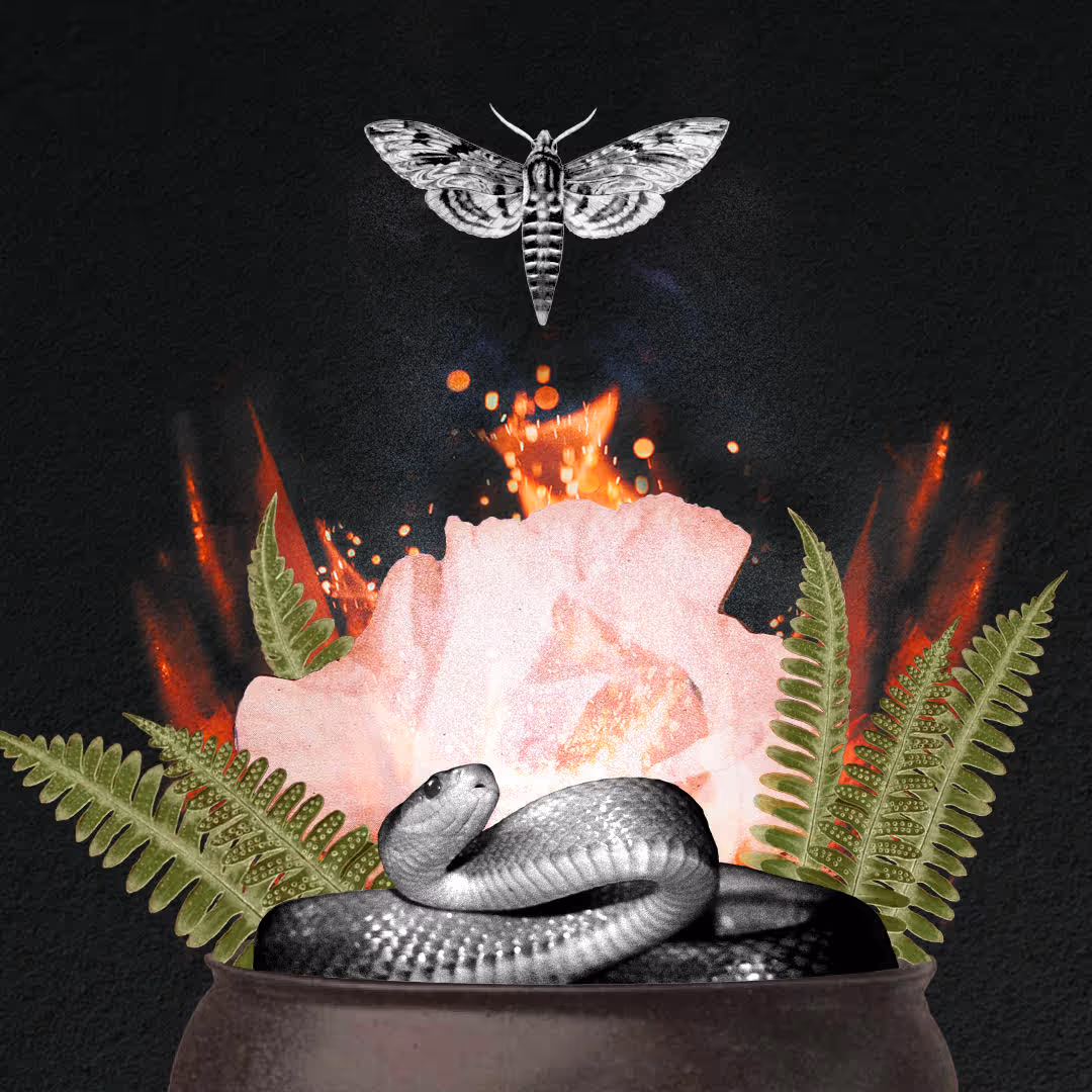 Scorpio Season officially begins on October 22nd at 4 pm PT. Scorpio is a sign that unearths, delves deeply into the mysteries of life, and refuses the simplest of answers. Scorpio knows that decay is just as important as growth in nature's great cycles. Without decomposition, our systems get polluted. Loss is inevitable and part ...