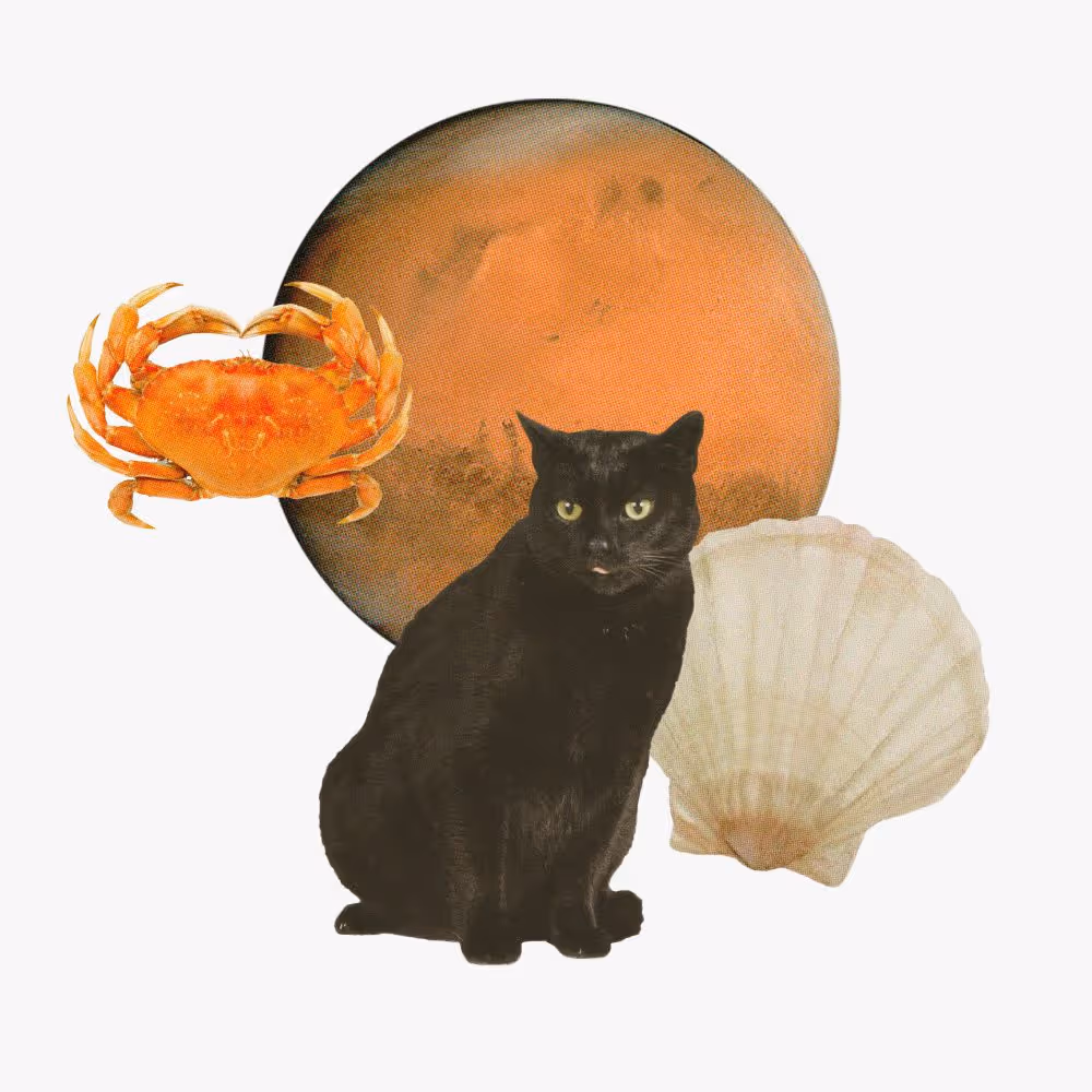 Your guide to Mars retrograde in Leo and Cancer - Collage of planet Mars, a black cat, a crab, and a seashell.