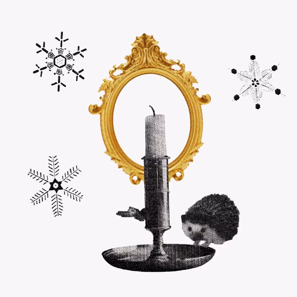 How to make Solstice magic, December 2025 - Collage of a candlestick in a gold frame with a hedgehog and snowflakes.