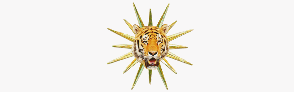Horoscopes for the Sun in Leo — Collage of a tiger head in the center of a gold star for the Sun in Leo.