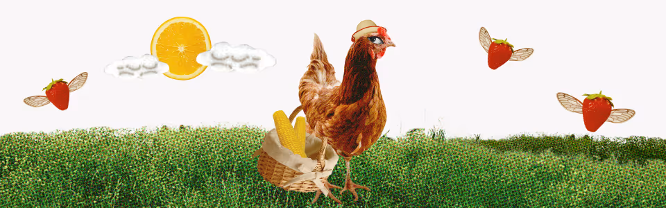 How to make September Equinox magic - A chicken in a hat on a field with a basket of corn, flying strawberries, and clouds.