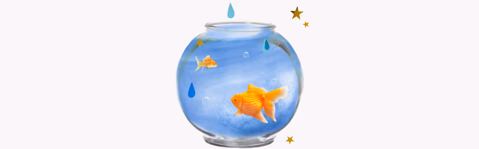 Horoscopes for Neptune Rx in Pisces — Collage of a pair of goldfish in a fishbowl surrounded by raindrops and gold stars.