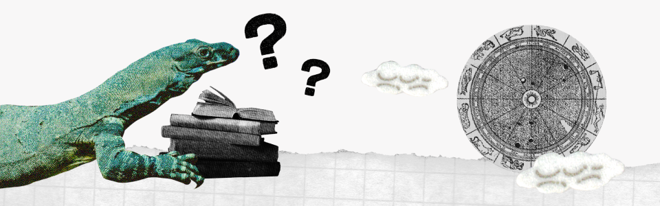 Current Sky and Natal Chart Planets Blog — Collage: a lizard on a stack of books looks at a birth chart with question marks.