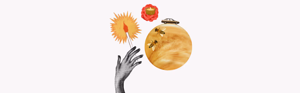 Horoscopes for Venus in Sagittarius — Collage of a hand holding a lit match with Venus, a car, bees, and a rose and candle.