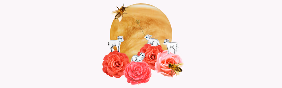 Horoscopes for Venus in Capricorn — Collage of planet Venus with clip art of baby goats on roses with a magic wand and bees.