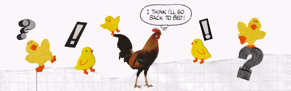 WTF is going on — Collage: A rooster says "I think I'll go back to bed!" with chicks, exclamation points, and question marks.