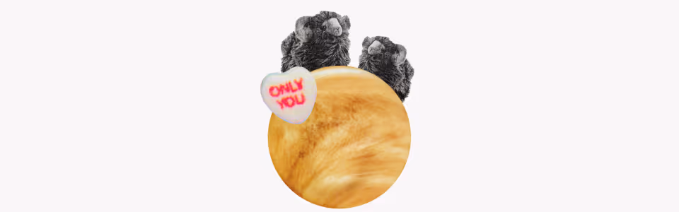 Horoscopes for Venus in Aries, 2026 — Collage of Venus with two stuffed ram plushies and a candy heart that reads "only you."