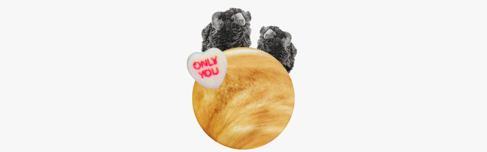 Horoscopes for Venus in Aries, 2026 — Collage of Venus with two stuffed ram plushies and a candy heart that reads "only you."