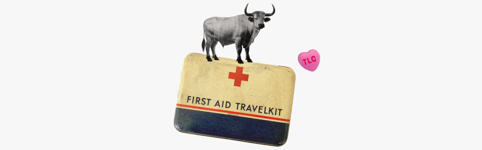Horoscopes for Chiron in Taurus — Collage of a longhorn bull with an antique first aid kit and a candy heart reading "TLC."