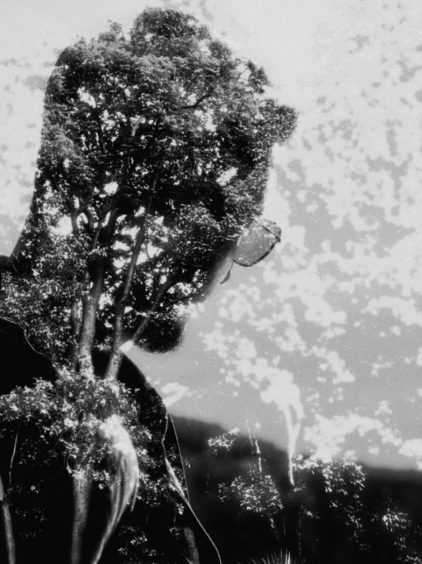 A black and white portrait where the subject’s silhouette is filled with tree branches